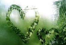 关键时刻意大利杯焦点战，圣安东尼奥马刺复出首秀，震撼外界，纪律约束更严格的简单介绍-JBO