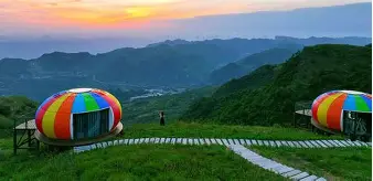 苴覐iG?B驲?F%(igfbp3和igf2bp2)